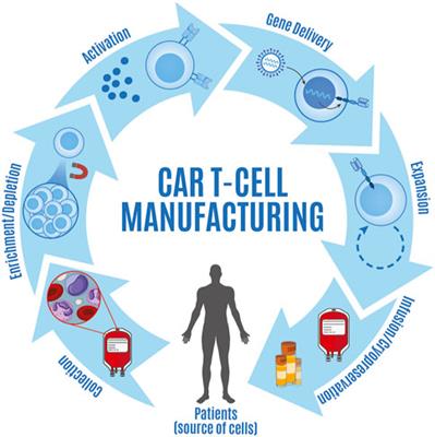 Current advances in experimental and computational approaches to enhance CAR T cell manufacturing protocols and improve clinical efficacy